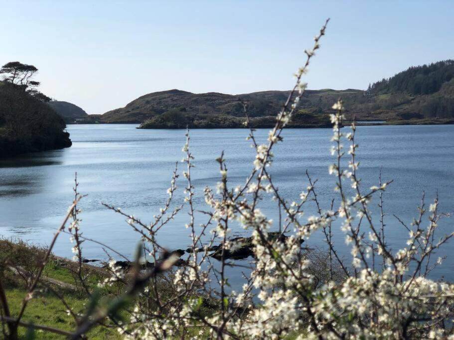 Lough Hyne Cottage Skibbereen Luaran gambar